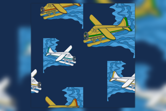 Aerial Top Oblique Pontoon Plane Pattern